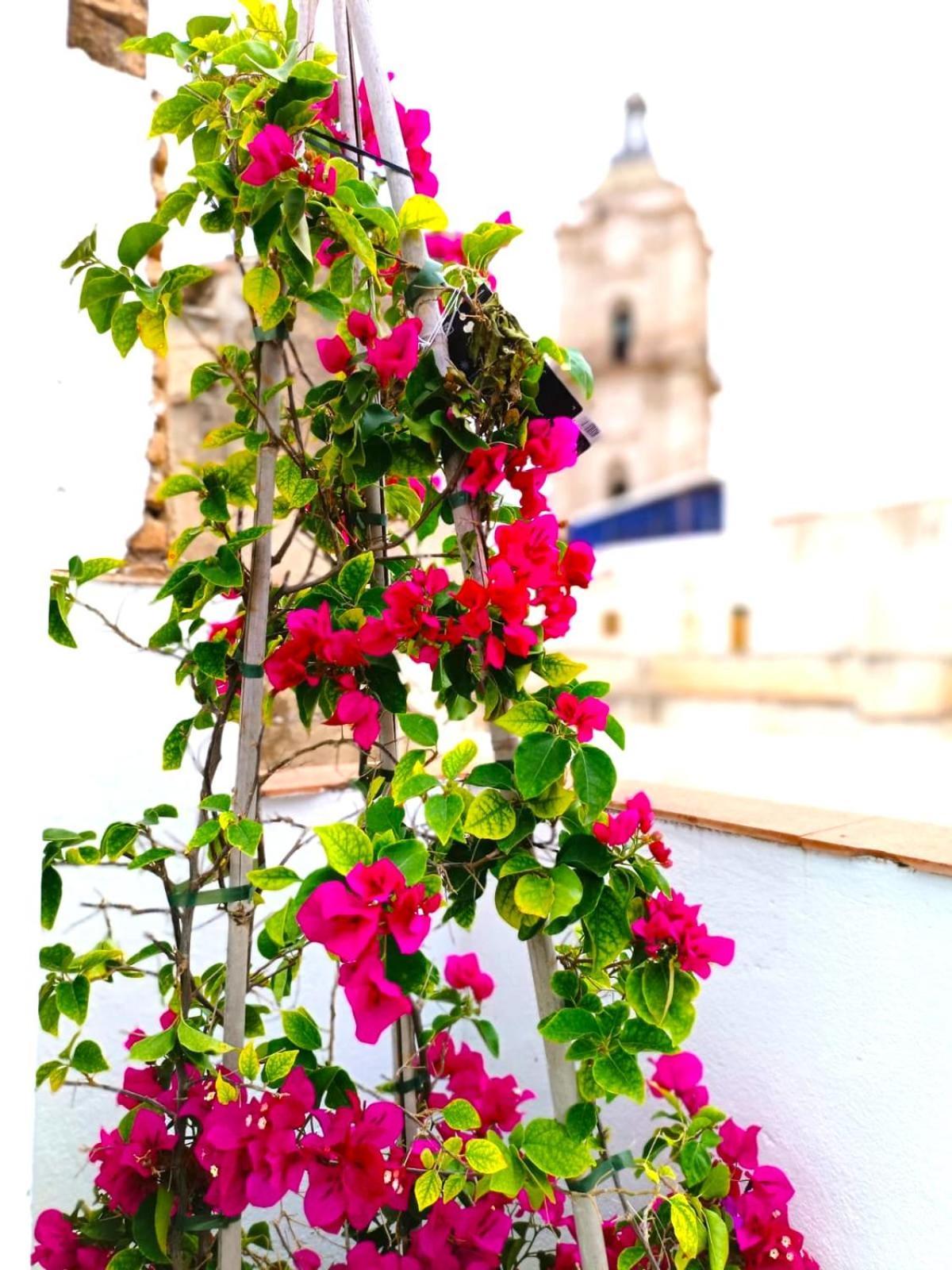 Apartamentos Terrazas De San Juan Màlaga Exteriér fotografie