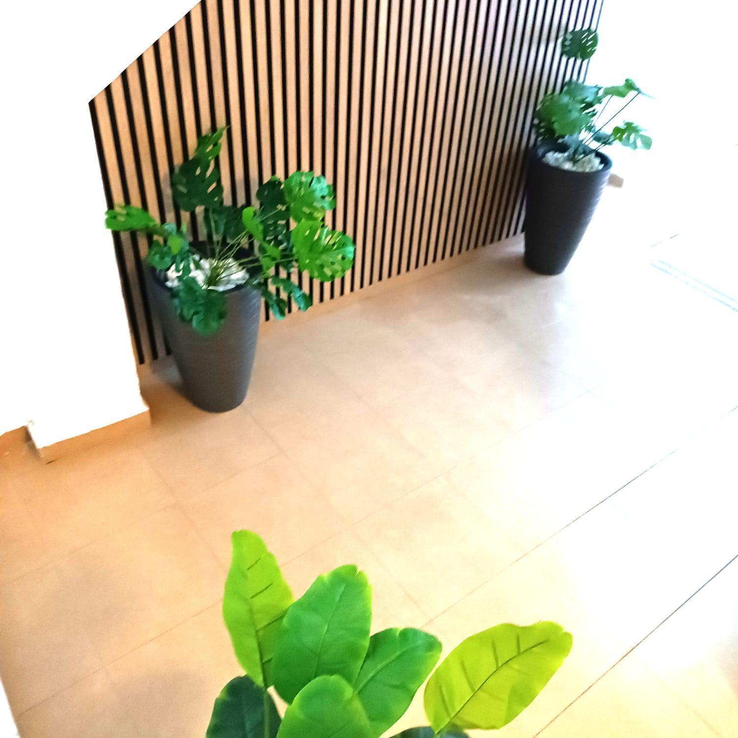 Apartamentos Terrazas De San Juan Màlaga Exteriér fotografie
